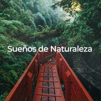 Sueños de Naturaleza: Relajación y Descanso