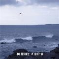 万般皆空幻