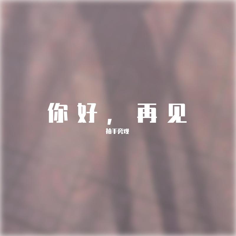 董小姐封面