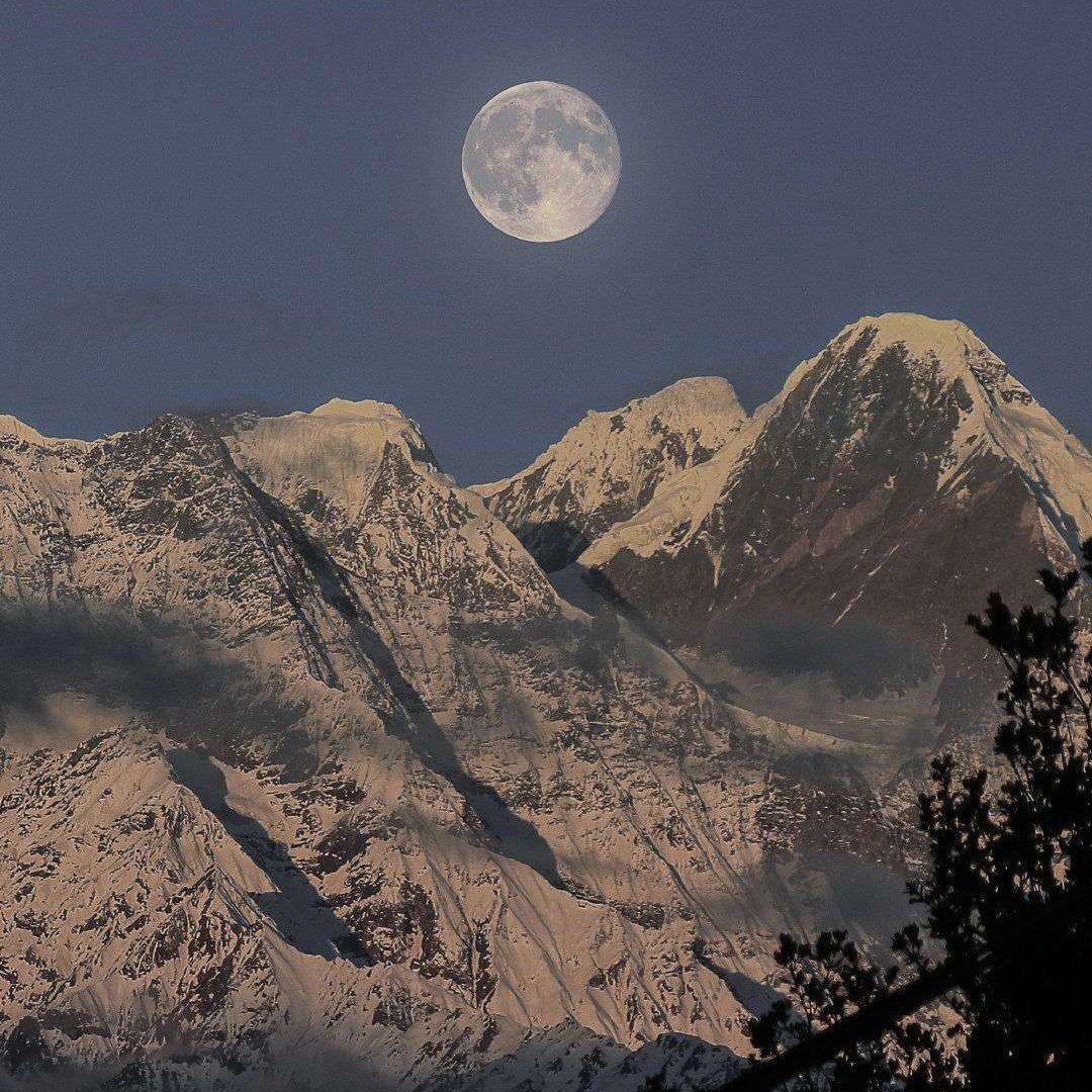 释怀_...+EJA...的共享歌单