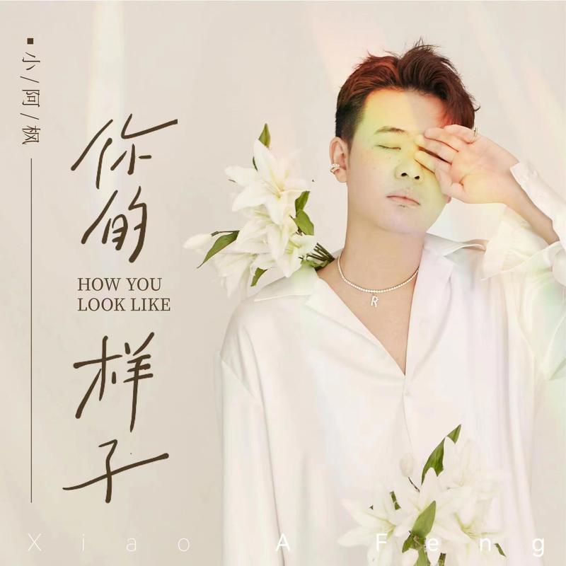 你的样子 (伴奏)封面