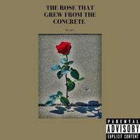 The Rose That Grew from the Concrete