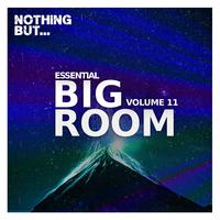 Nothing But... Essential Big Room, Vol. 11