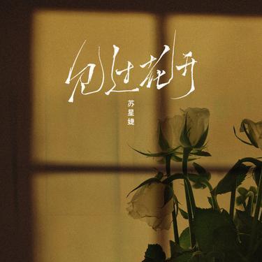 见过花开 (DJAh版)封面