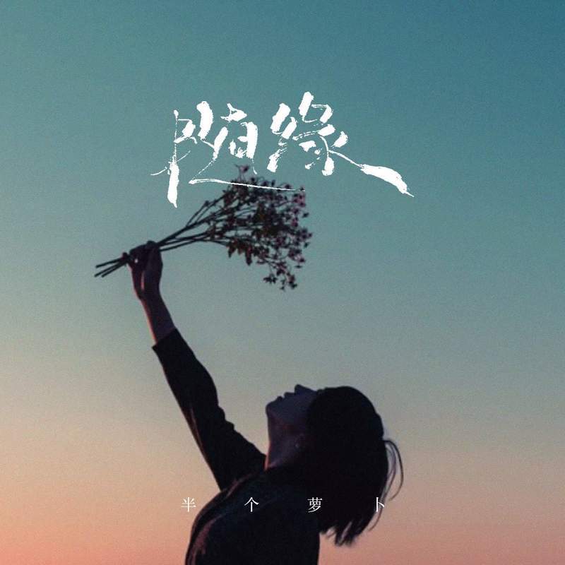随缘 (女版)封面