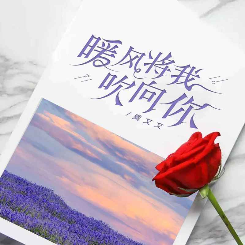 暖风将我吹向你 (伴奏) - 黄文文封面