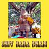 Various Artists - Shiv Baba Dham Akbarpur (Mix)