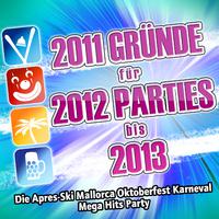 2011 Gründe für 2012 Parties bis 2013