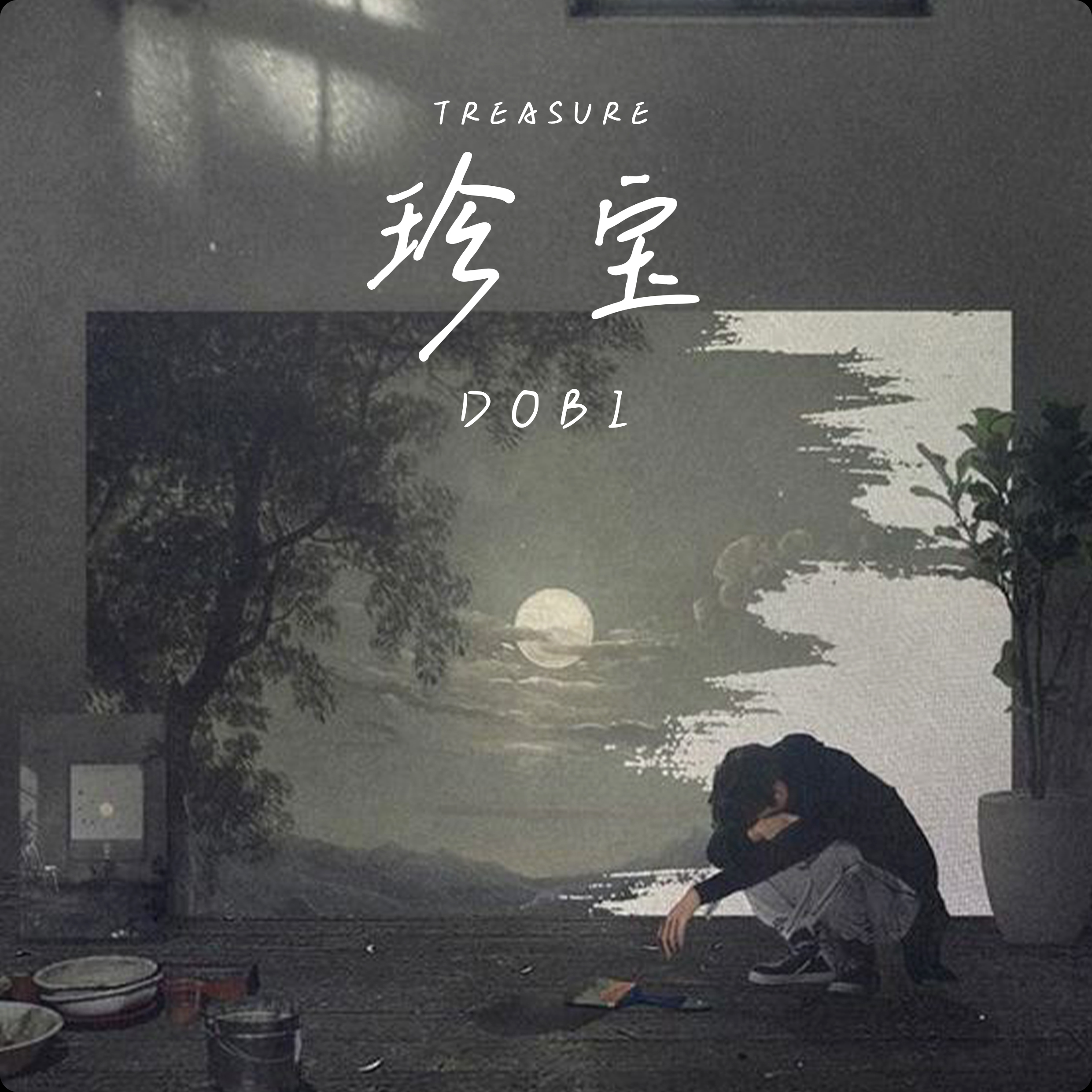 珍宝封面