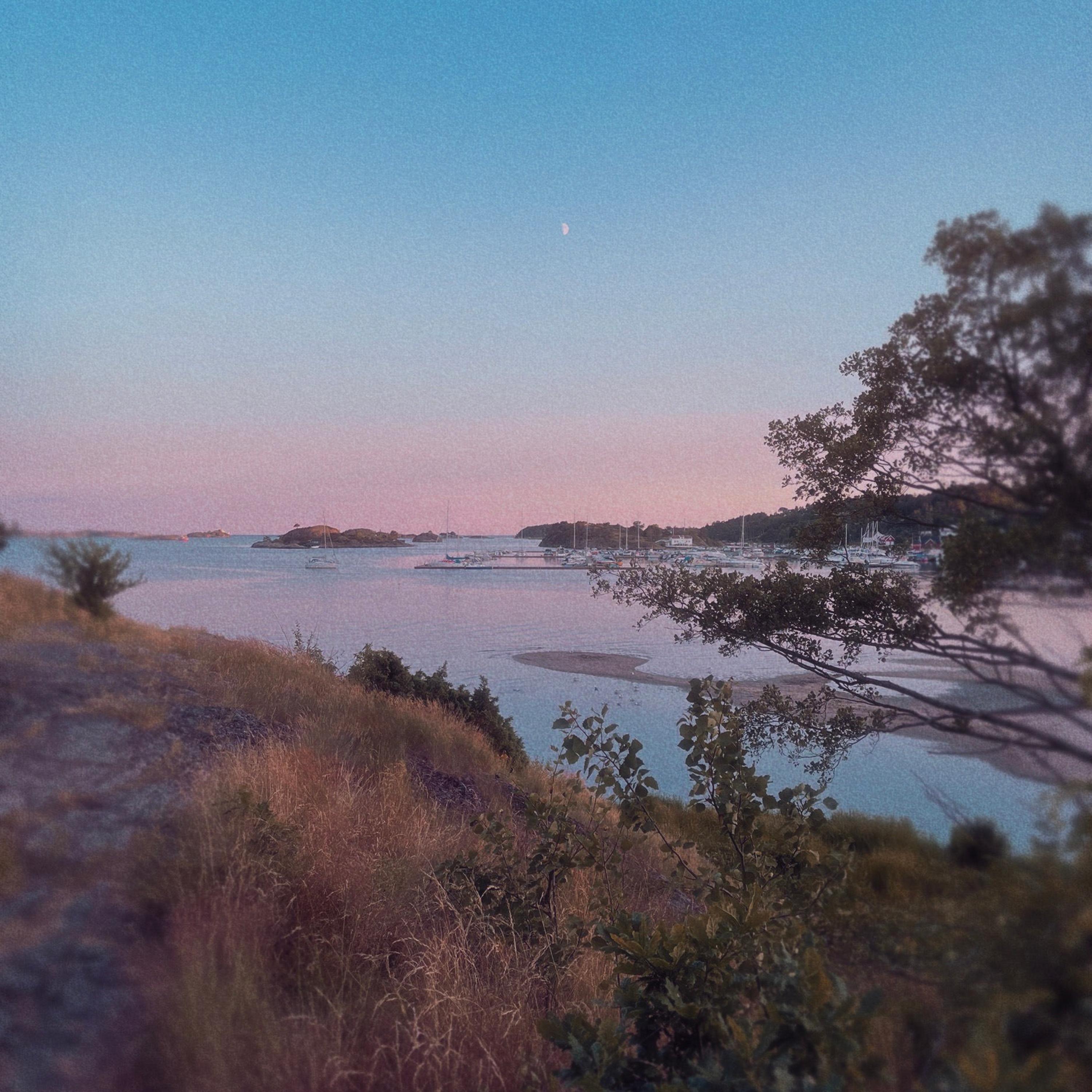 I care because you do Taran 专辑 网易云音乐