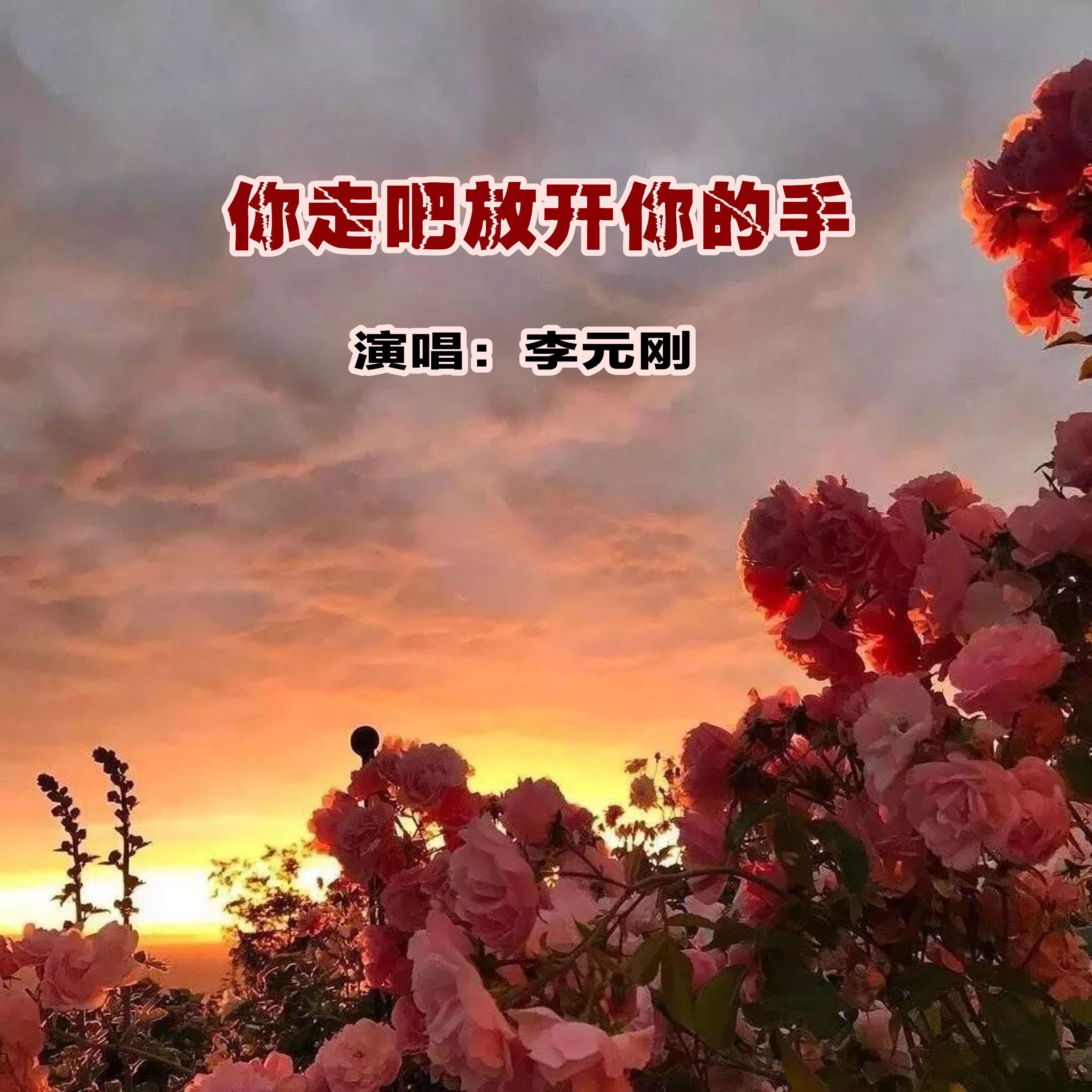 你走吧放开你的手封面