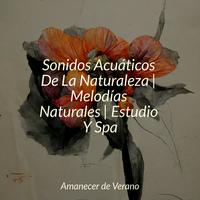 Sonidos Acuáticos De La Naturaleza | Melodías Naturales | Estudio Y Spa