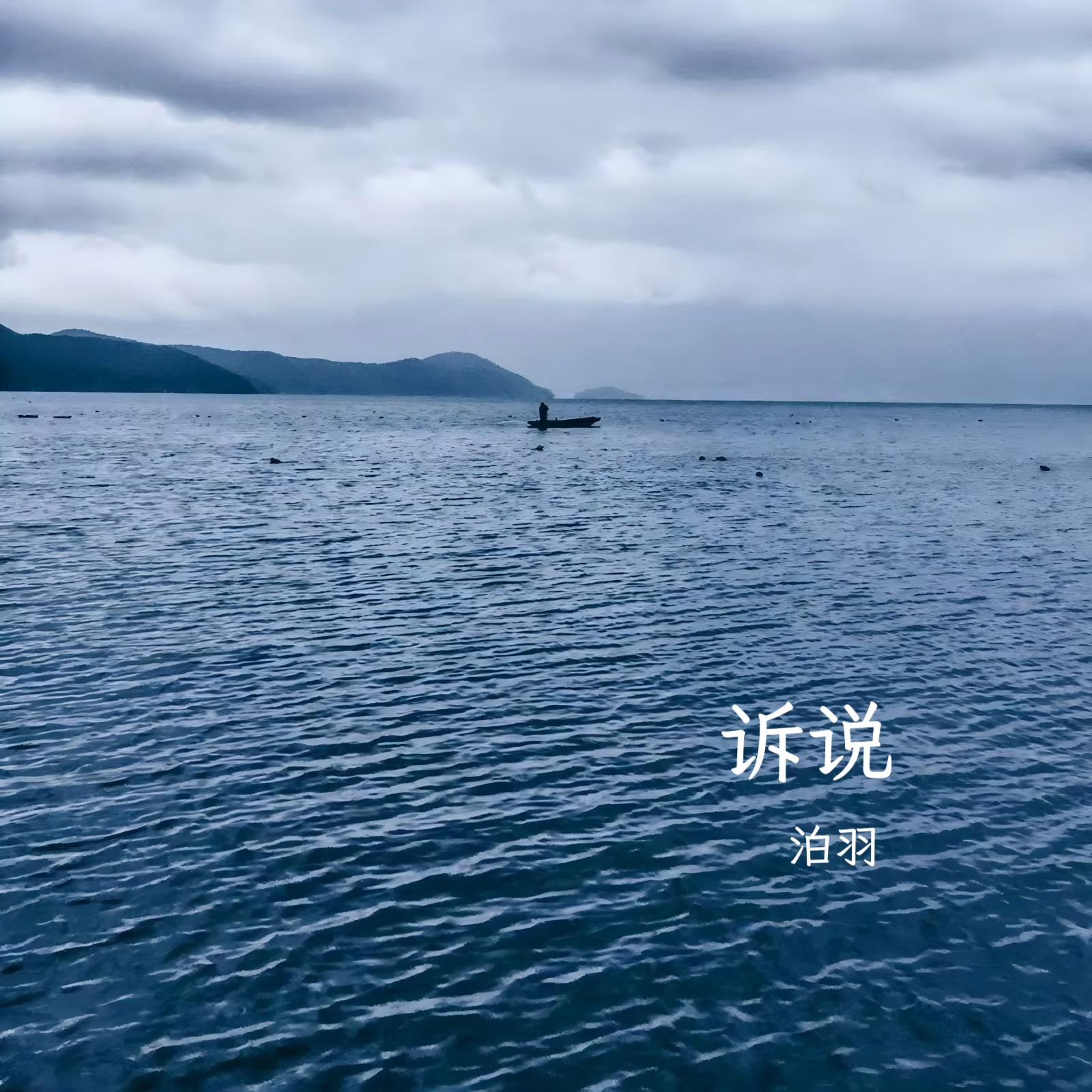 举杯封面