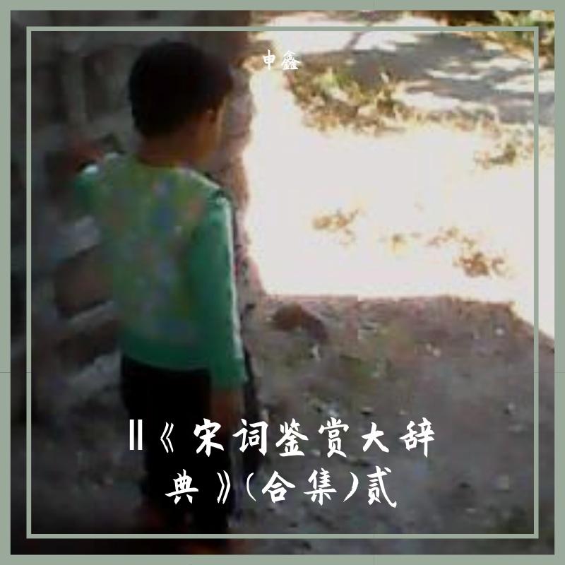 LⅩⅨ宋词鉴赏大典（陆拾玖）虞美人、喜迁莺·晓行、点绛唇、忆少年、卜算子、如梦令、长相思、诉衷情封面