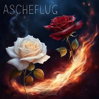 Ascheflug