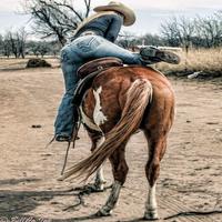 Amarillo Cowgirl