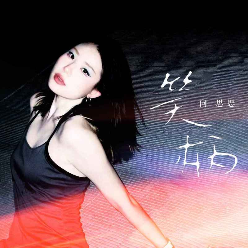 笑柄封面