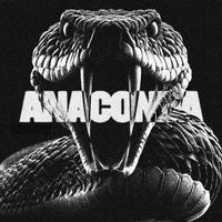 Anaconda