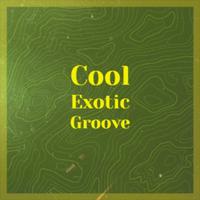 Cool Exotic Groove