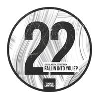 Fallin Into You EP