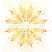 Summer Particles 2008