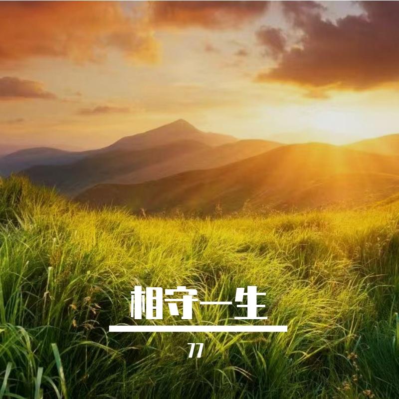 爱得无能为力封面
