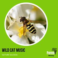 Wild Cat Music - Nature Sounds