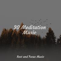 30 Meditation Music