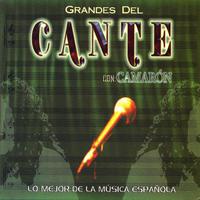 Lo Mejor de la Música Española: Grandes del Cante