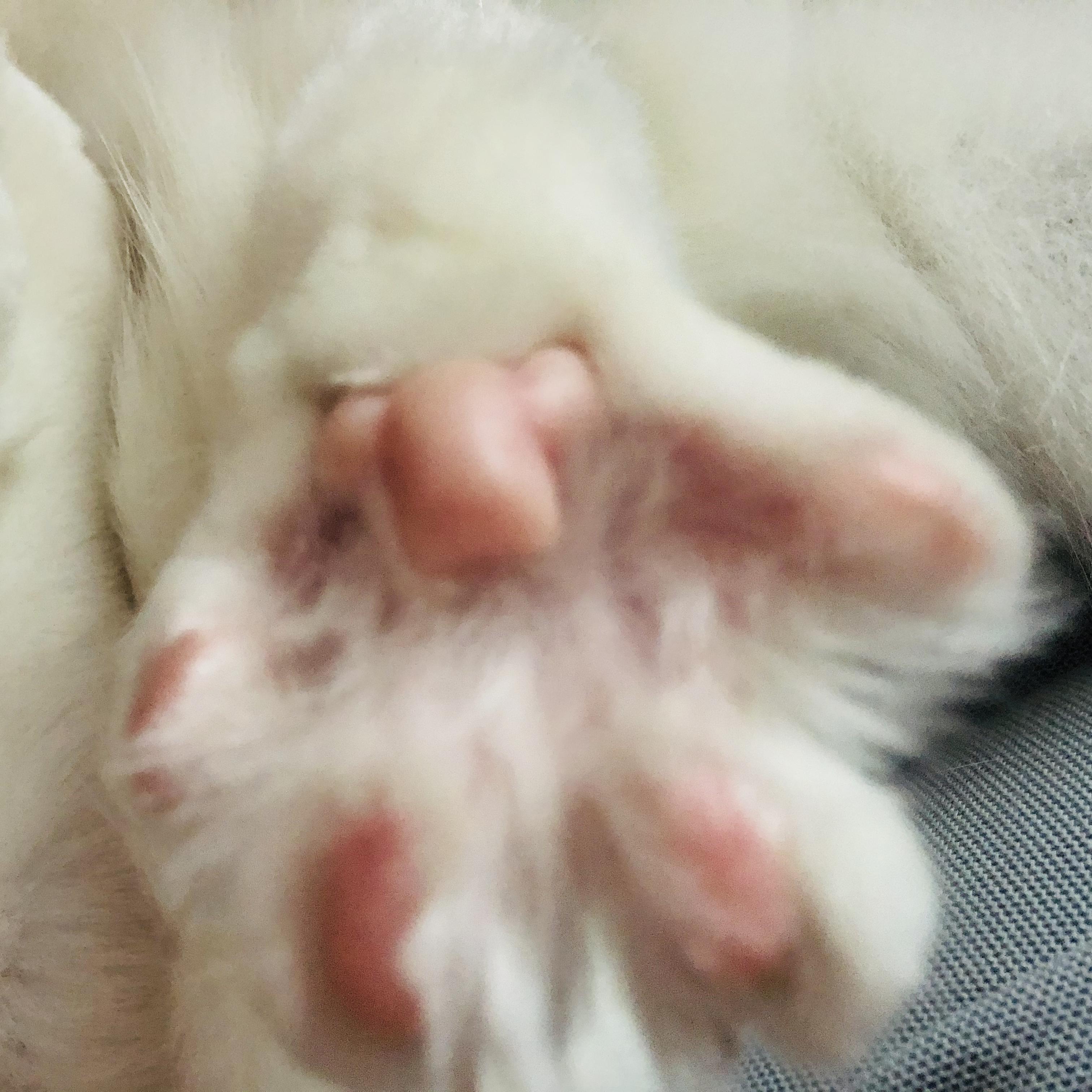 捞月亮的人（翻自 杨千嬅）