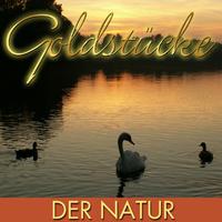 Goldstücke der Natur