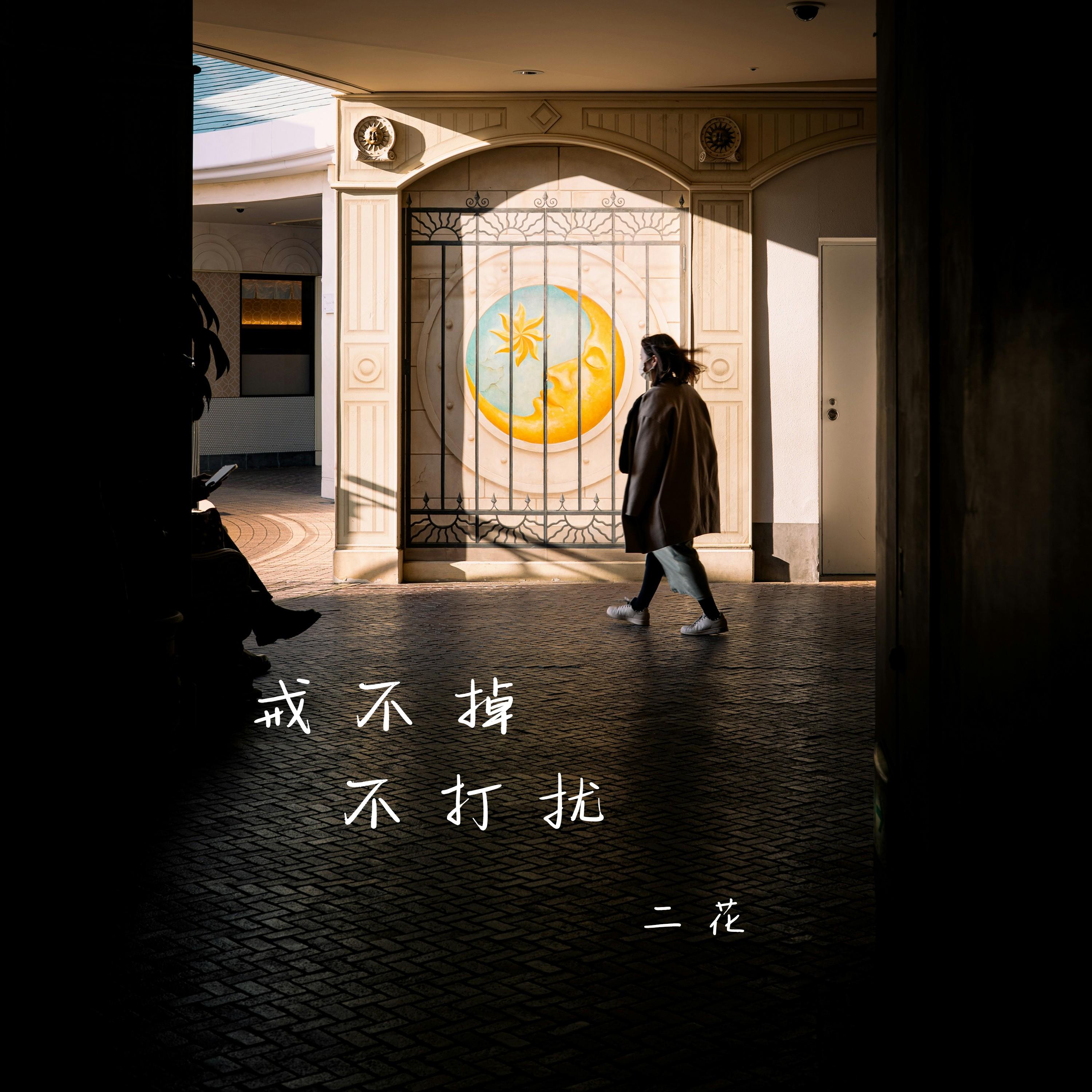 戒不掉，不打扰_二花_戒不掉，不打扰 | 在线播放_戒不掉，不打扰歌词_戒不掉，不打扰下载 | 网易云音乐