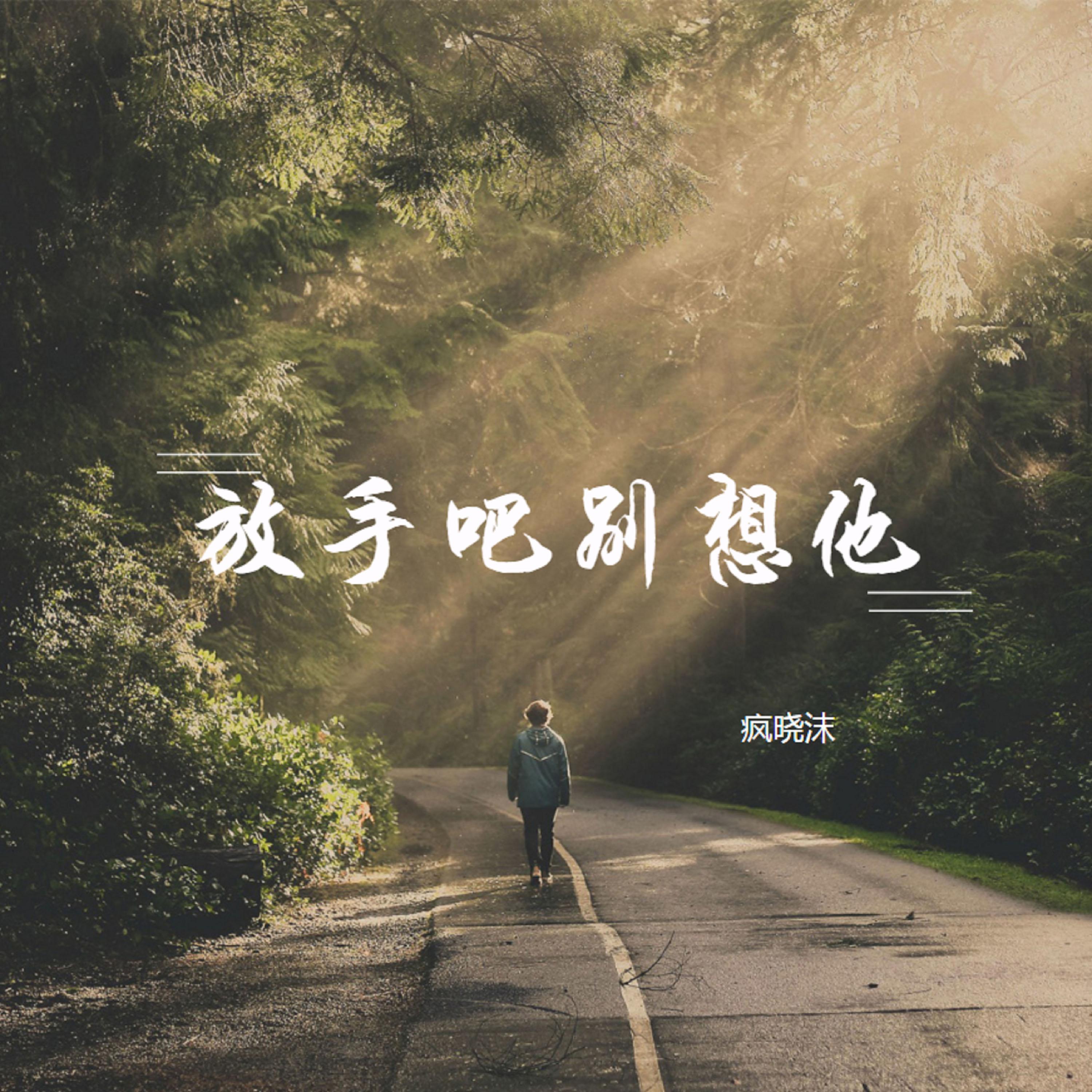 放手吧别想他封面