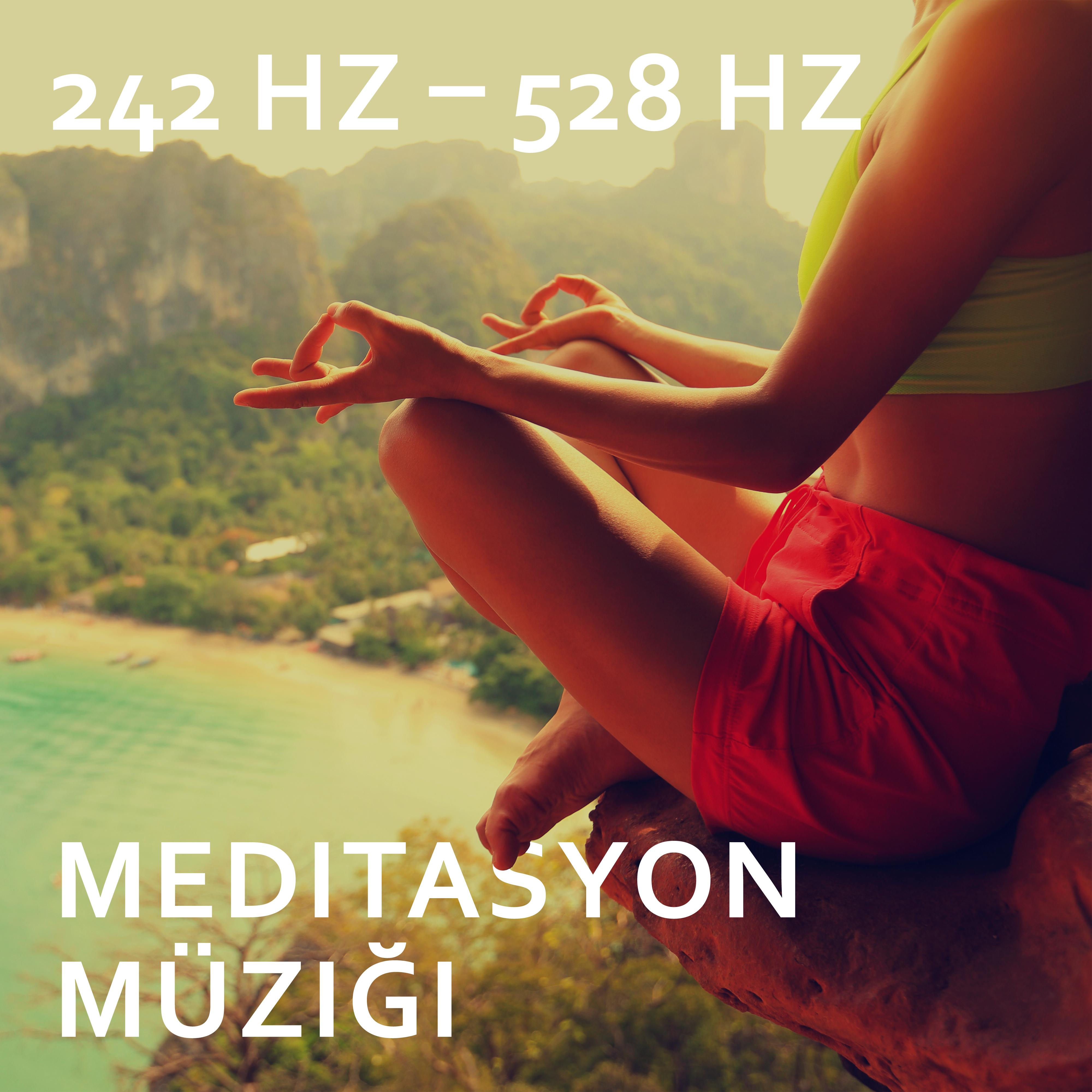 432 Hz Korkunuzu Ortadan Kaldırın