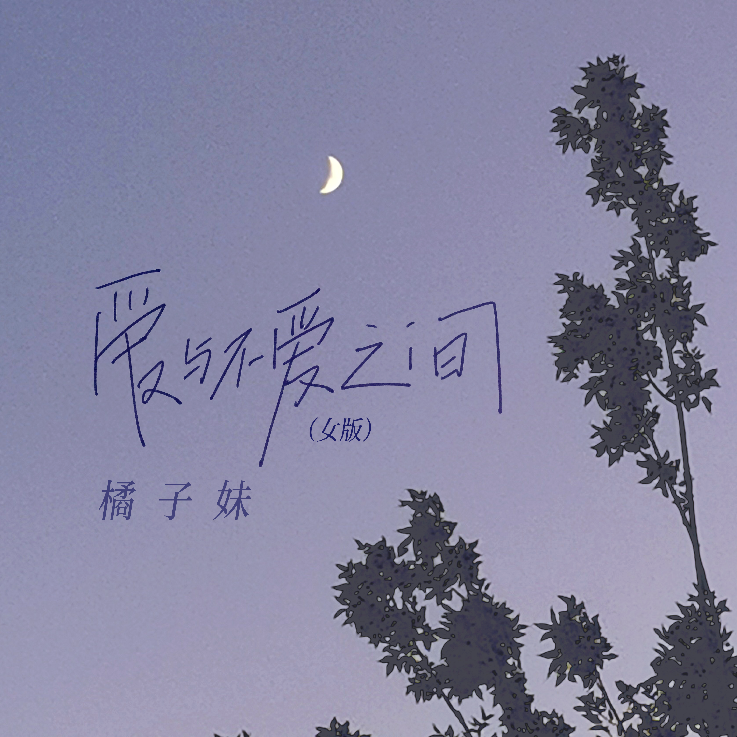 爱与不爱之间 (1.2加速版)封面