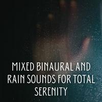 Mixed Binaural and Rain Sounds for Total Serenity