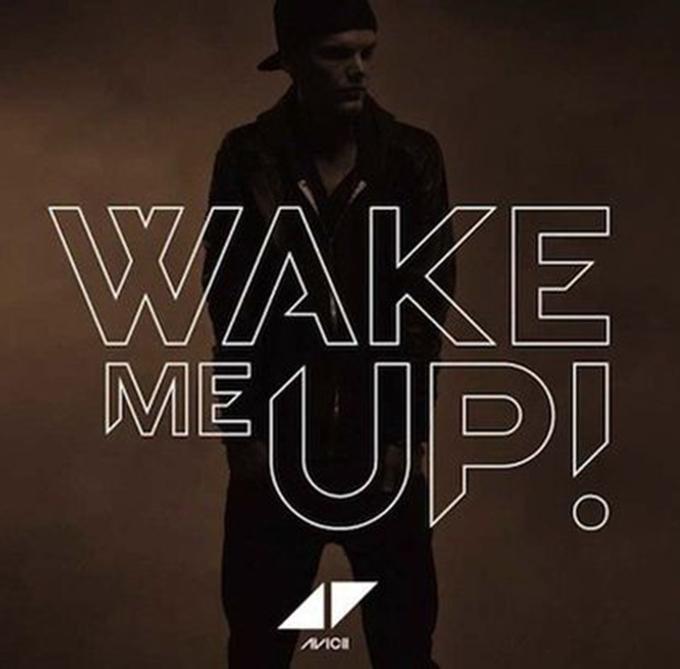 wake me up(cover:avicii)