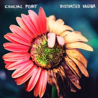Distorted Vagina