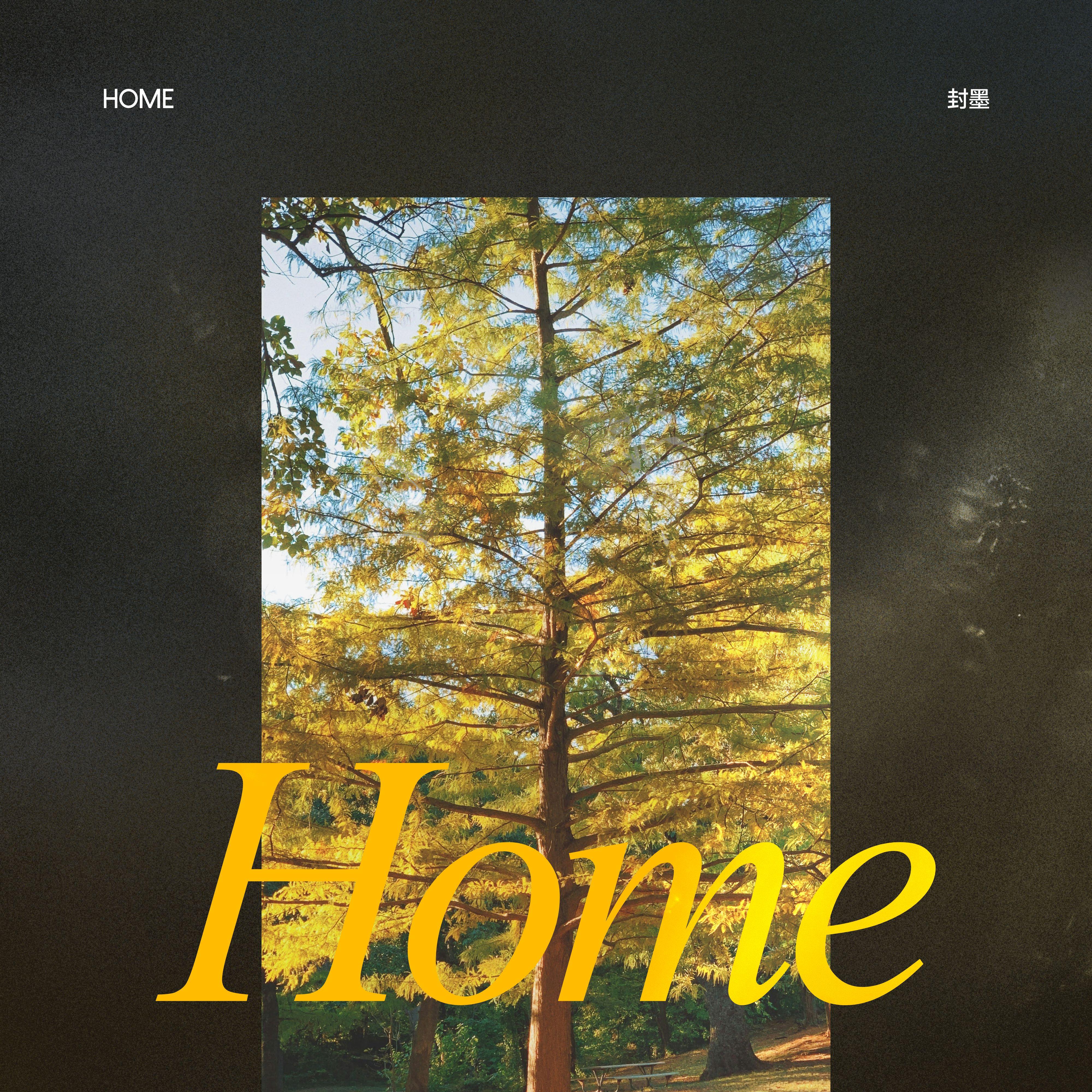 Home封面