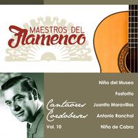 Maestros del Flamenco, Vol. 10