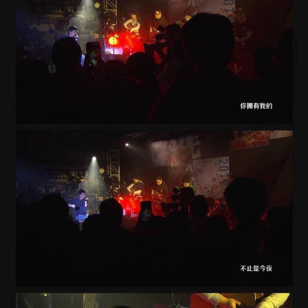 墙上的向日葵LB