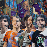 Animal Collective