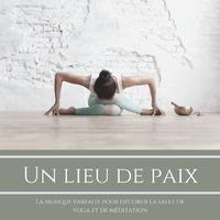 Un lieu de paix: La musique parfaite pour décorer la salle de yoga et de méditation