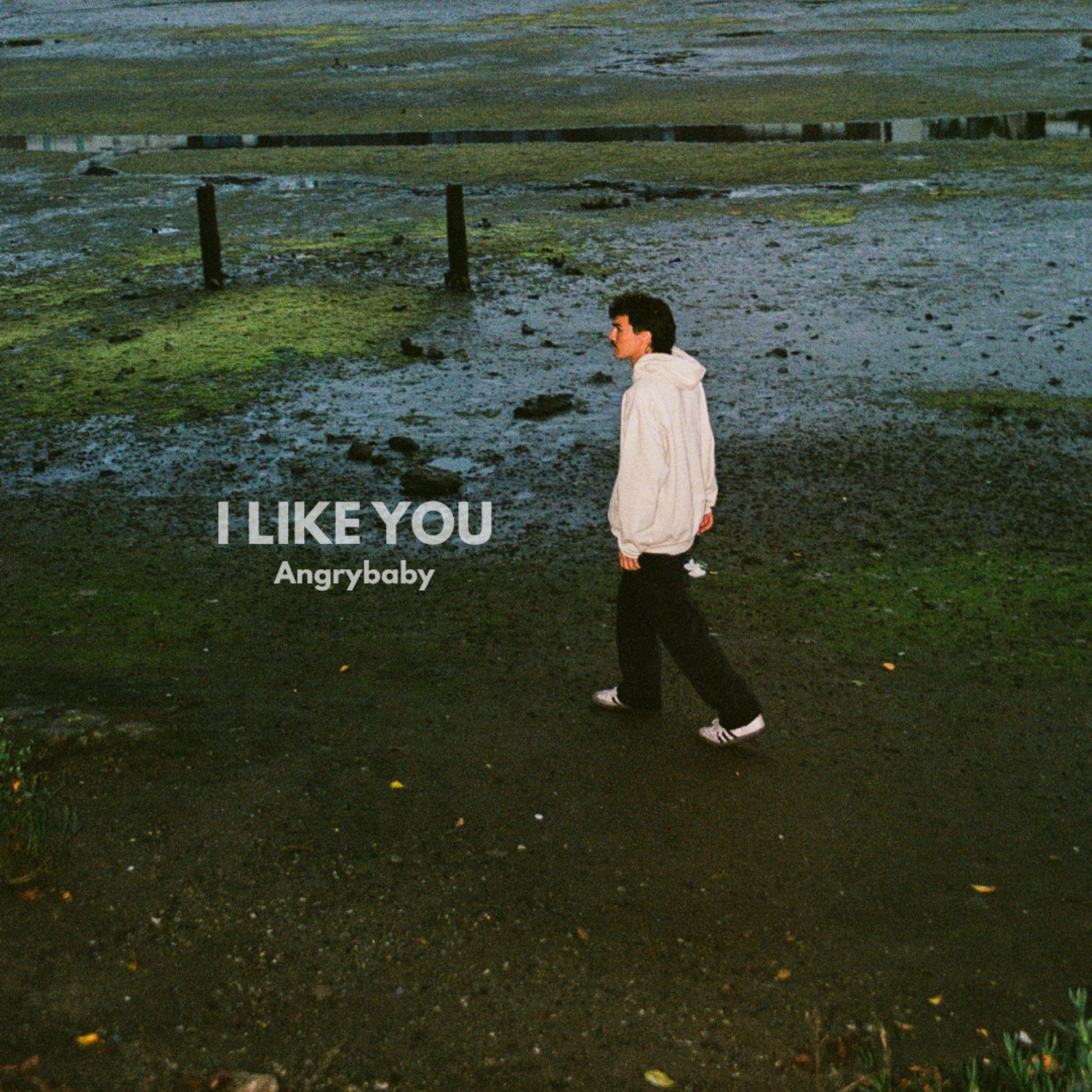 I LIKE YOU封面