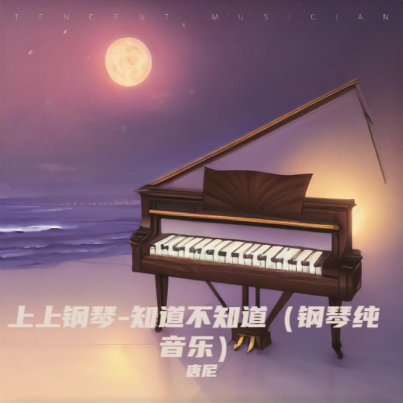 知道不知道 (钢琴纯音乐) - 唐尼封面