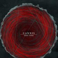 Cannis