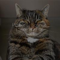 Powerful Sounds | Serenity For Cats