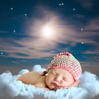 Enchanted Nature: Baby Sleep Meets Wilderness