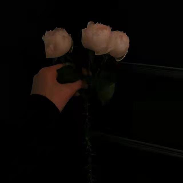 戒断（Prod_24T）