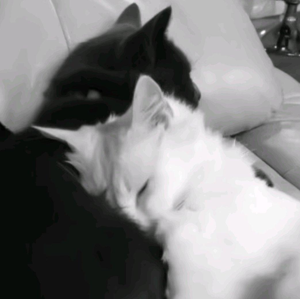 mxy我很程的好不好